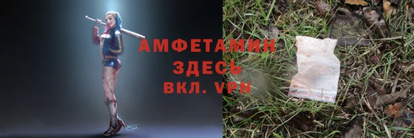дживик Елабуга