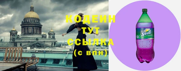 mdpv Ельня