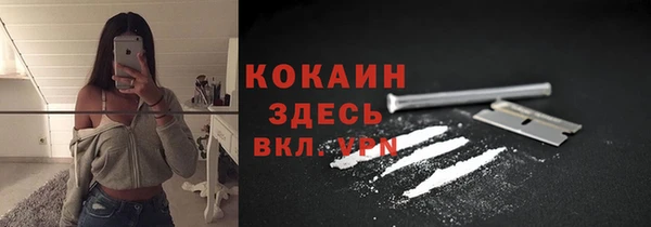 mdpv Ельня