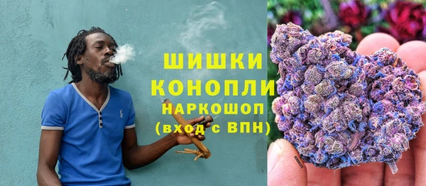 дживик Елабуга