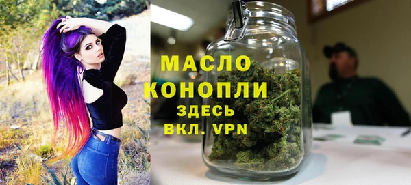 дживик Елабуга