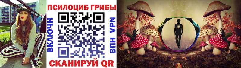Псилоцибиновые грибы мухоморы  Купить закладки  Зуевка 