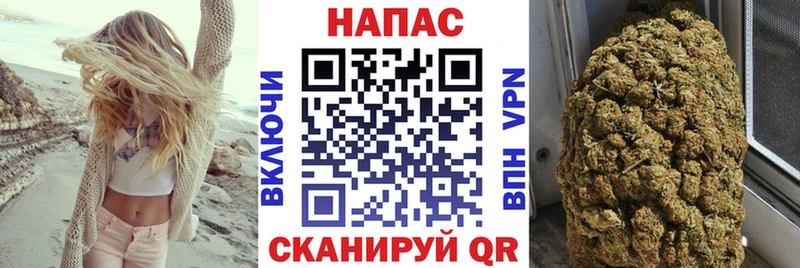 Купить  Зуевка  Бошки марихуана ГИДРОПОН 